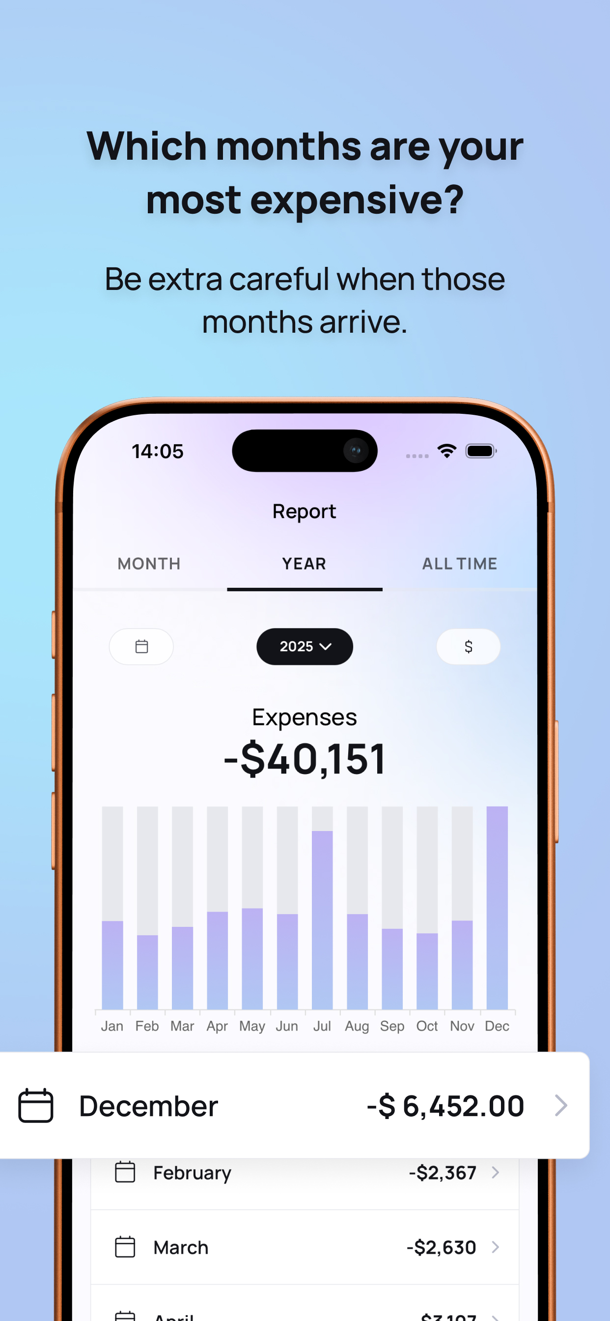 Spendline yearly report